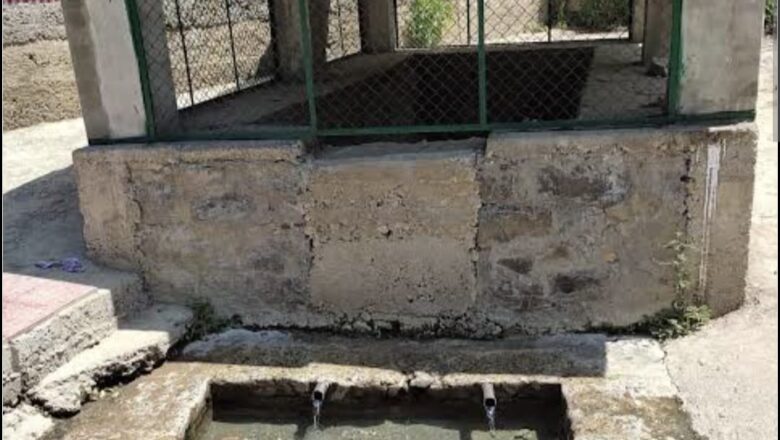 Dead dog found in filtration plant in Baramulla