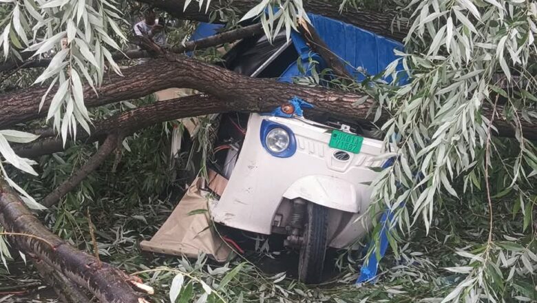 Strong winds uproot tree in Srinagar, crush e-rickshaw; road blocked