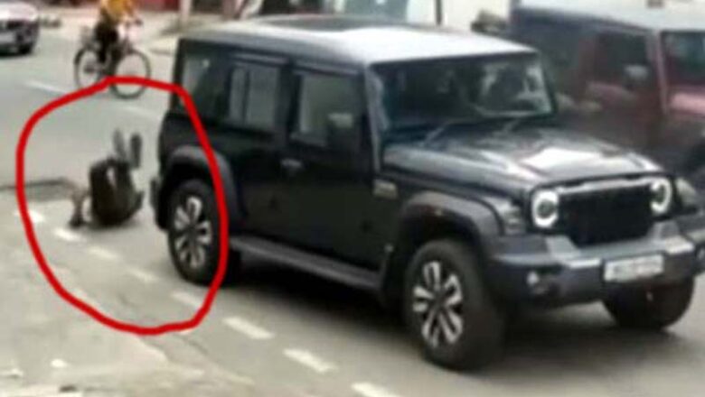 Elderly shopkeeper run over twice by Thar driver in Jammu, police launch manhunt