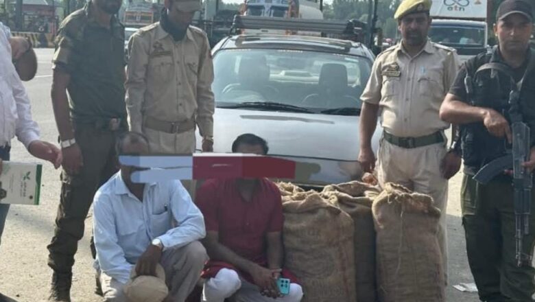 Four persons, attempting to transport saffron seeds outside Kashmir, arrested