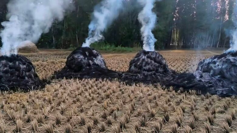 ‘Dreams destroyed overnight’: Annual paddy harvest torched by unknown persons in Bandipora’s Shilvat