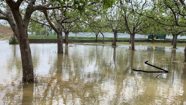 Two deluges, one neglected: Kashmir’s struggle in the shadow of Punjab