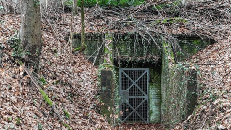 Militants constructing underground bunkers deep inside thick forests