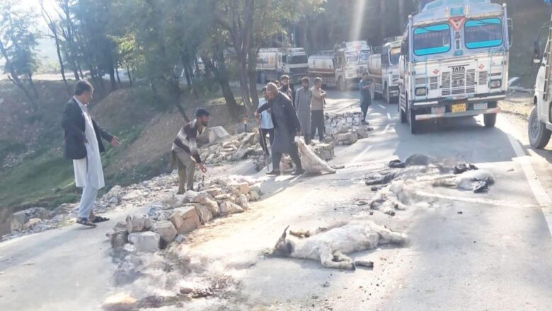 Rashly driven truck kills 12 sheep in Qazigund