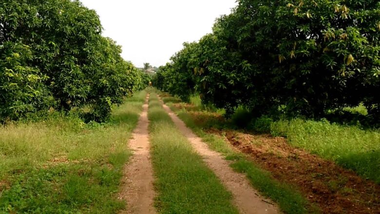 Over 1,020 acres, mostly agricultural land, leased at ₹1 per year for Adani power project in Bihar