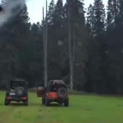 Viral fame at nature’s cost: Officials initiate action after outrage over ecological damage in Budgam pastures