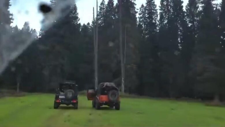 Viral fame at nature’s cost: Officials initiate action after outrage over ecological damage in Budgam pastures