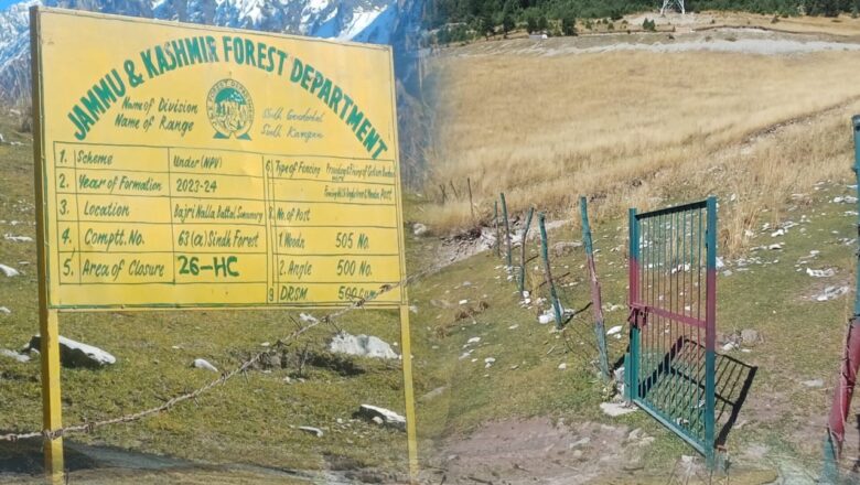 Plantation drive: Lakhs spent, photos taken, but sapling missing in Baltal nurseries